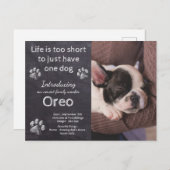 新しいワンちゃん – 犬の写真チョークボードワンの発表 ポストカード (正面/裏面)