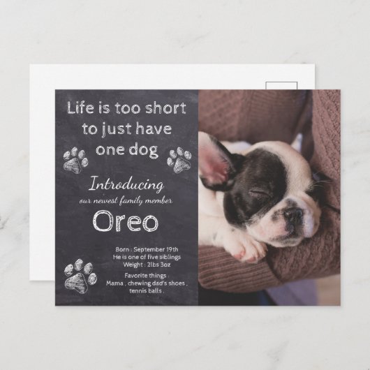 新しいワンちゃん – 犬の写真チョークボードワンの発表 ポストカード (正面/裏面)