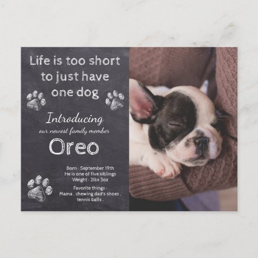 新しいワンちゃん – 犬の写真チョークボードワンの発表 ポストカード (正面)
