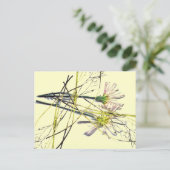 新しいヴィンテージ ポストカード (スタンド正面)