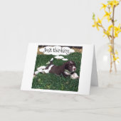 新しい人生の冒険に幸運を祈る、とスパニエルは言う カード (黄色い花)