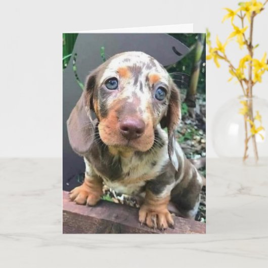 *新しい仕事おめでとう!寂しくなるな* カード (黄色い花)