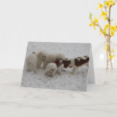 新しい仕事のお祝い カード (黄色い花)