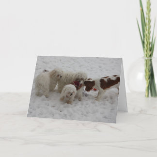 新しい仕事のお祝い カード