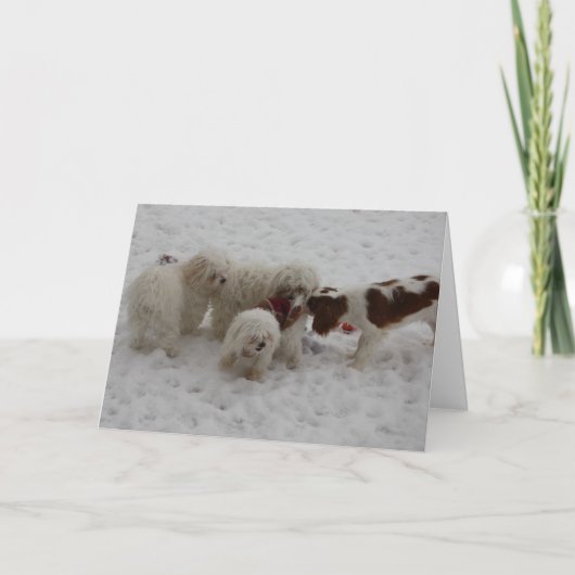 新しい仕事のお祝い カード (正面)