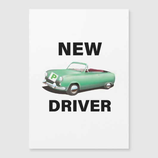 新しい仮ドライバー (正面)