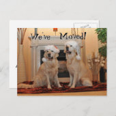 新しい住所にサンタハットを付けたゴールデンレトリバー ポストカード (正面/裏面)