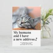 新しい住所の引越しペット写真猫の引越し 案内状 (スタンド正面)
