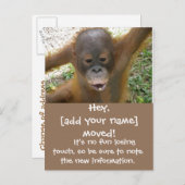 新しい住所の引越し案内 案内ポストカード (正面/裏面)