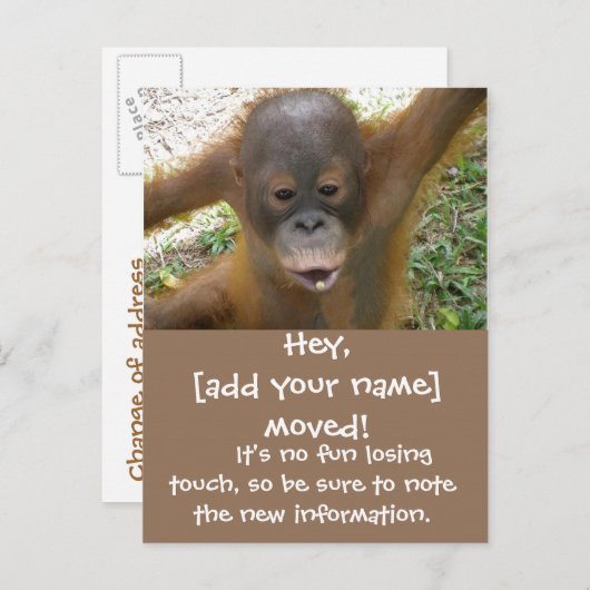 新しい住所の引越し案内 案内ポストカード (正面/裏面)