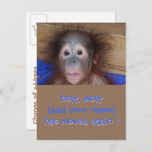 新しい住所の移動通知 案内ポストカード (正面/裏面)