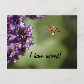 新しい住所はがき 案内ポストカード