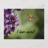 新しい住所はがき 案内ポストカード (正面)