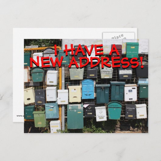 新しい住所はがき 案内ポストカード (正面/裏面)
