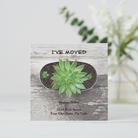 新しい住所を移動した多肉植物 案内状 (スタンド正面)