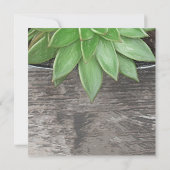 新しい住所を移動した多肉植物 案内状 (裏面)