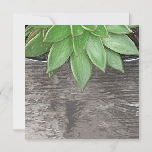 新しい住所を移動した多肉植物 案内状 (裏面)