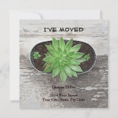 新しい住所を移動した多肉植物 案内状 (正面)