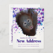 新しい住所 案内ポストカード (正面/裏面)