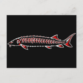 新しい先住民 – ホワイトスタージオン ポストカード