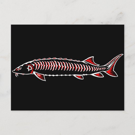 新しい先住民 – ホワイトスタージオン ポストカード (正面)