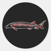 新しい先住民 – ホワイトスタージオン