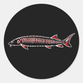 新しい先住民 – ホワイトスタージオン ラウンドシール