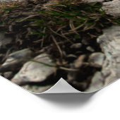 新しい冒険を探す ポスター (角)