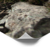 新しい冒険を探す ポスター (角)