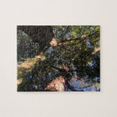 新しい分析視点 ジグソーパズル (横)