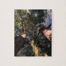 新しい分析視点