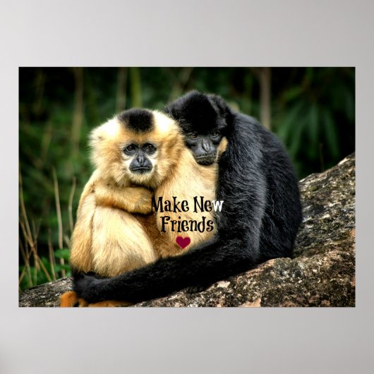 「新しい友だちを作る」 ポスター (正面)