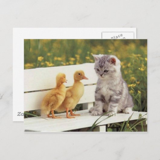 新しい友だち ポストカード (正面/裏面)