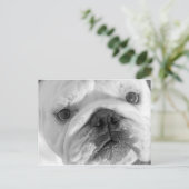 新しい友人はがき ポストカード (スタンド正面)