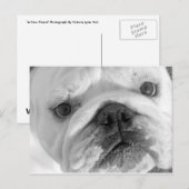 新しい友人はがき ポストカード (正面/裏面)