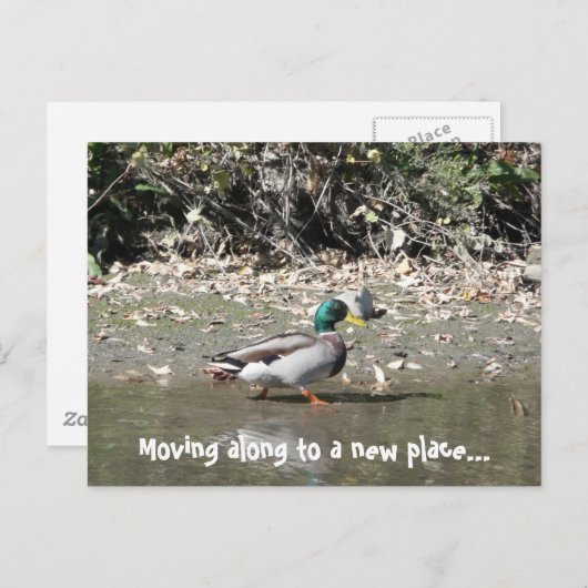 新しい場所に移動… 案内ポストカード (正面/裏面)