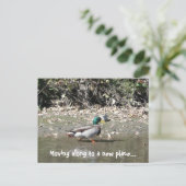 新しい場所に移動… 案内ポストカード (スタンド正面)