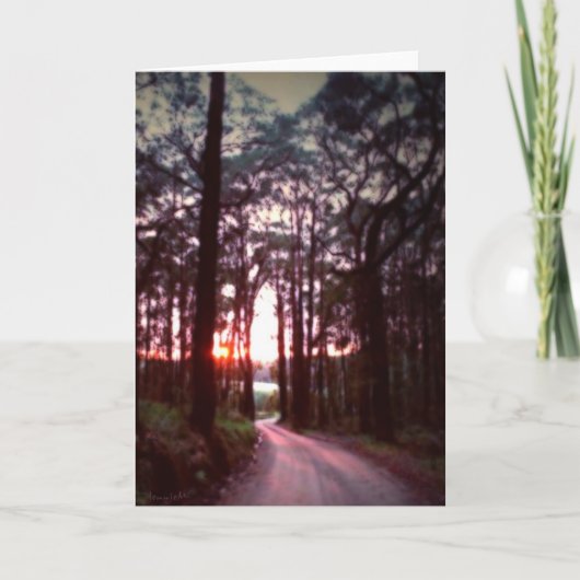 新しい夜明け カード (正面)