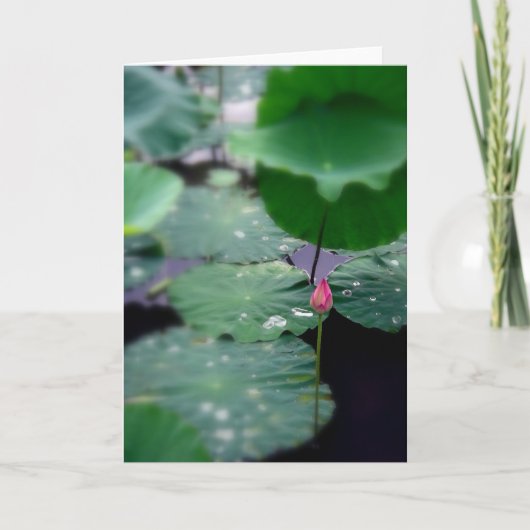 新しい夜明け シーズンカード (正面)