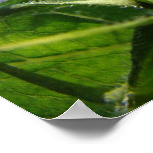 新しい始まりのアートプリントヒーリングTouchアートヘルス ポスター (角)