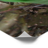 新しい始まり ポスター (角)