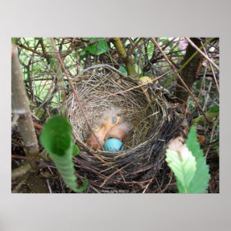 新しい始まり ポスター