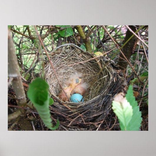 新しい始まり ポスター (正面)