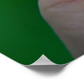 新しい始めのどんぐりのポスター ポスター (角)