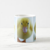新しい子ガモ コーヒーマグカップ (中央)