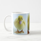 新しい子ガモ コーヒーマグカップ (左)