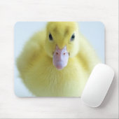 新しい子ガモ マウスパッド (マウス)