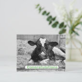 新しい子牛の赤ちゃん おめでとう ポストカード (スタンド正面)