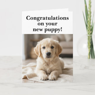 新しい子犬おめでとう面白い カード