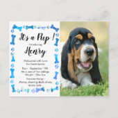 新しい子犬のご案内 - 青い少年犬の子犬のお知らせ ポストカード (正面)